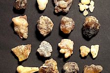 Weihrauch-Der Duft der Götter im Sortenporträt