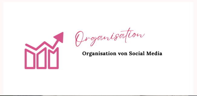 Organisation von Social Media