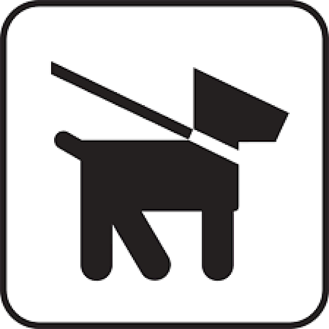 Fortbildung: Neues Hundehaltegesetz OÖ 2024