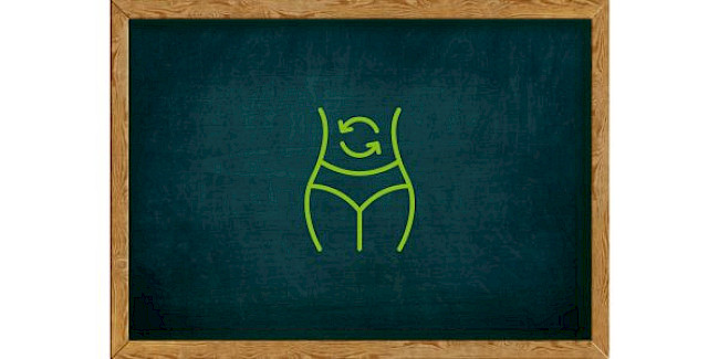 2. Stoffwechsel und Stoffwechseltypen