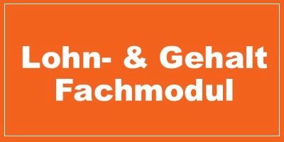 Lohn & Gehalt (FALG)