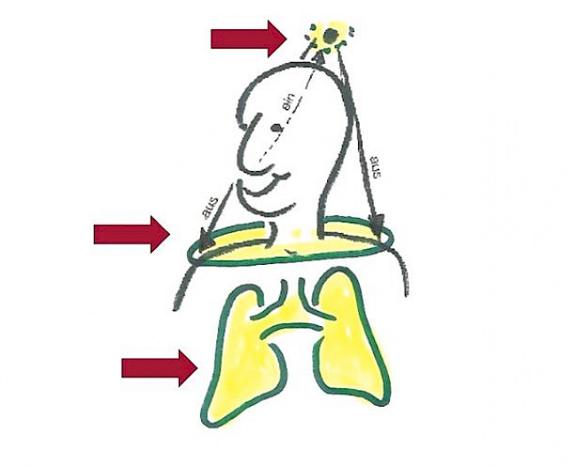 5. Formes d'application