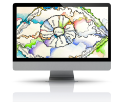 Deine Vision, deine neue Perspektive