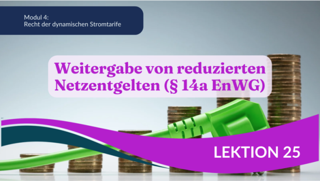 Weitergabe von reduzierten Netzentgelten (§ 14 a EnWG)