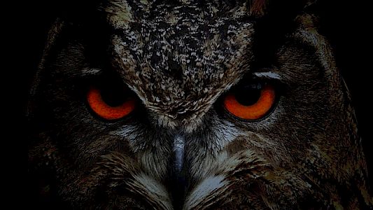 Criminal & Open Source Intelligence (full course, dt.)