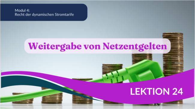 Weitergabe von Netzentgelten