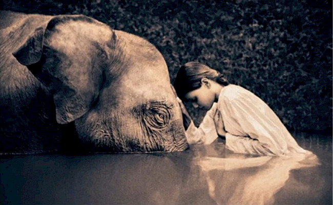 4. L’écoute associative-intuitive et empathique