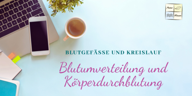 Blutumverteilung und Körperdurchblutung