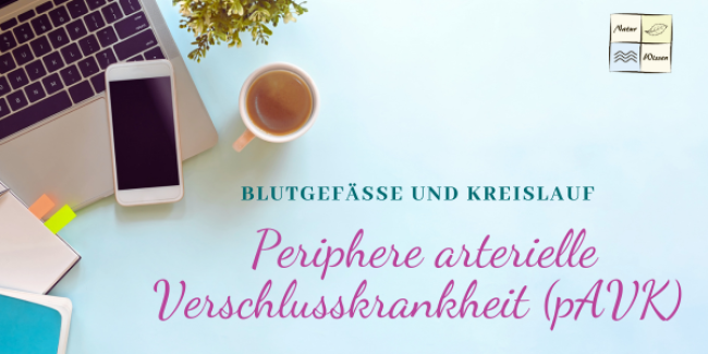 Periphere arterielle Verschlusskrankheit (pAVK)