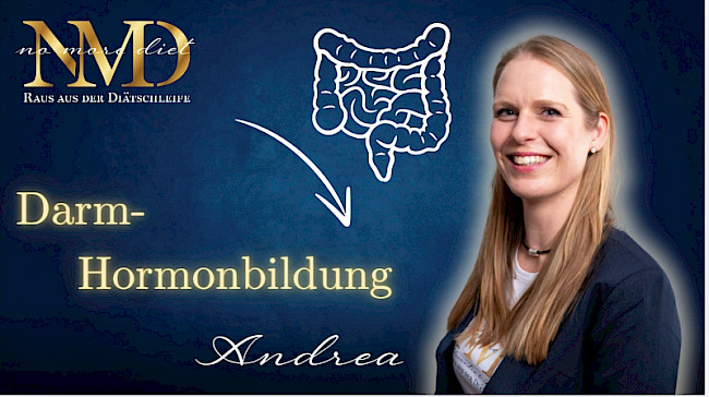 Hormone gebildet im Darm