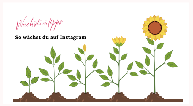 SO wächst du am besten und langfristig auf Instagram