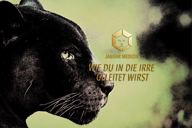 WIE DU IN DIE IRRE GELEITET WIRST