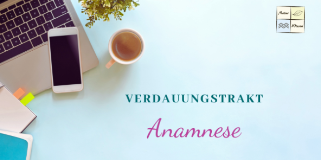Anamnese