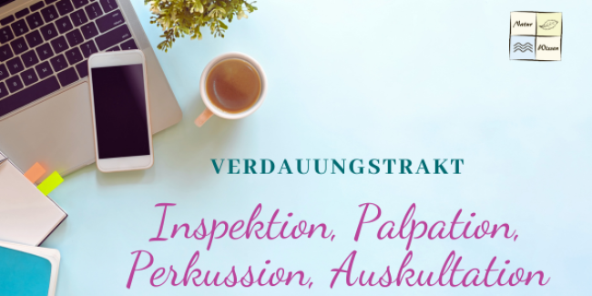 Inspektion, Palpation, Perkussion, Auskultation
