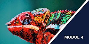 Psychologie des Wandels