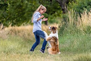 Online - Das Orientierungsspiel