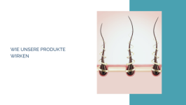 Wie unsere Produkte wirken
