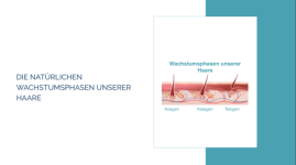 Die natürlichen Wachstumsphasen unserer Haare