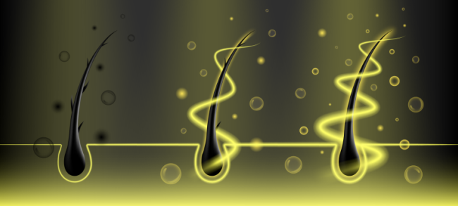 Gezielte Unterstützung der Wachstumsphasen mit unseren Produkten