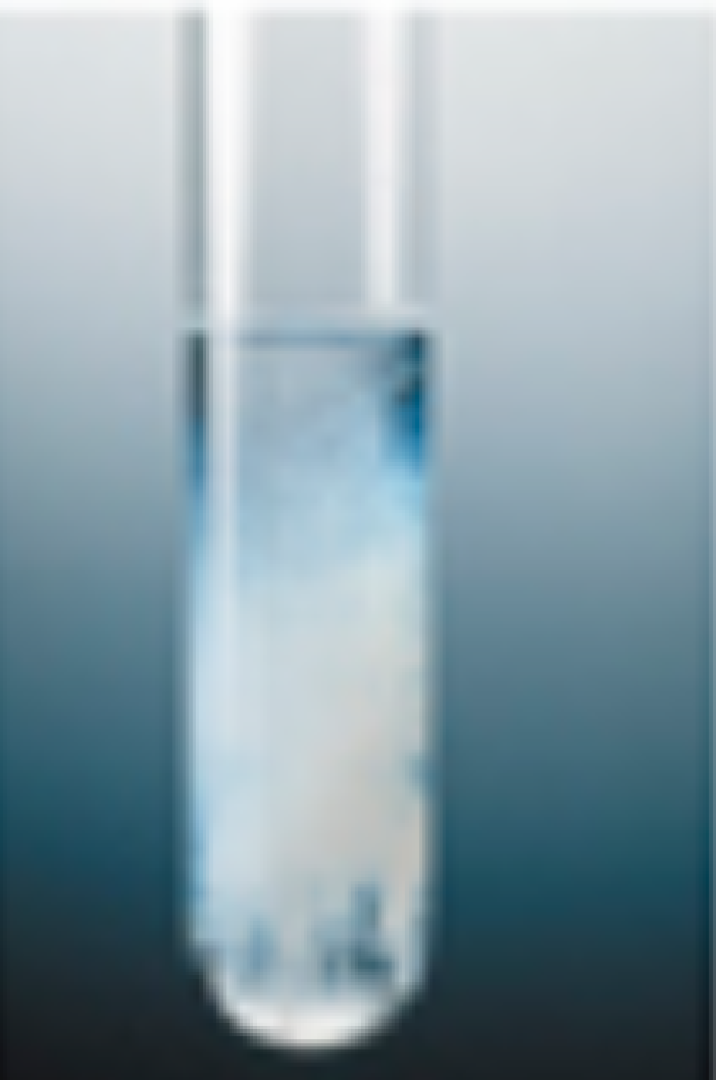 Nachweiße der Kationen der 1. Gruppe des KTG