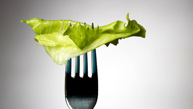 Wer abnehmen will, muss Kalorien reduzieren