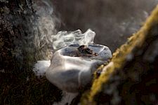 Modul 2: Einführung