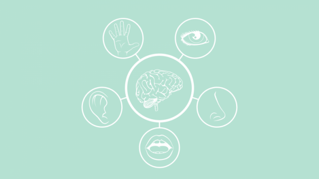 Sinneskanäle & Superlearning