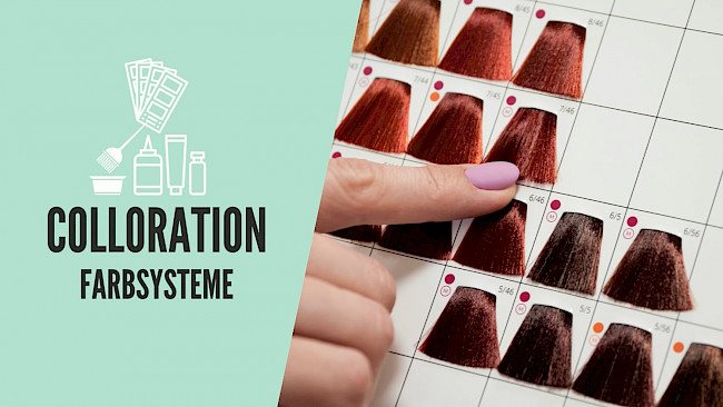 Farbsystem & Farbkarte