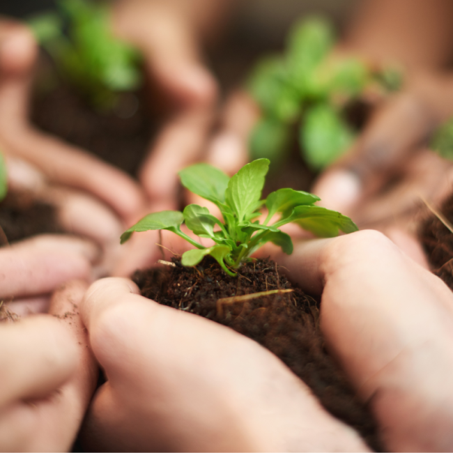 Lektion 1.4 Deine Ressourcen