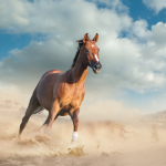 Tierkommuniation - Die Übungsblätter