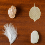 Modul 5 - Mediales Arbeiten in der Natur