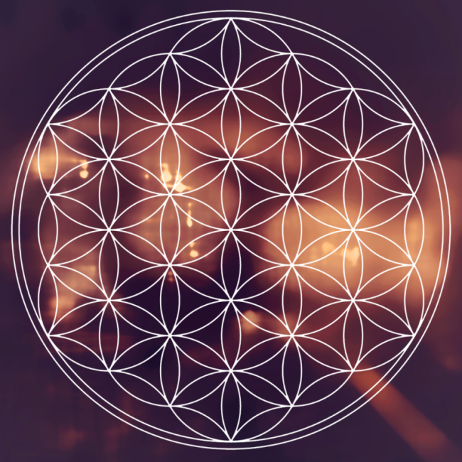 Lektion 6.1 – Die Hierarchie auf der Erde