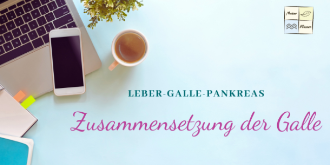 Zusammensetzung der Galle