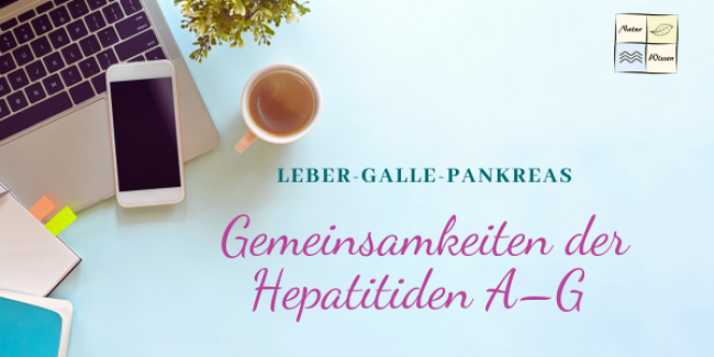 Gemeinsamkeiten der Hepatitiden A–G