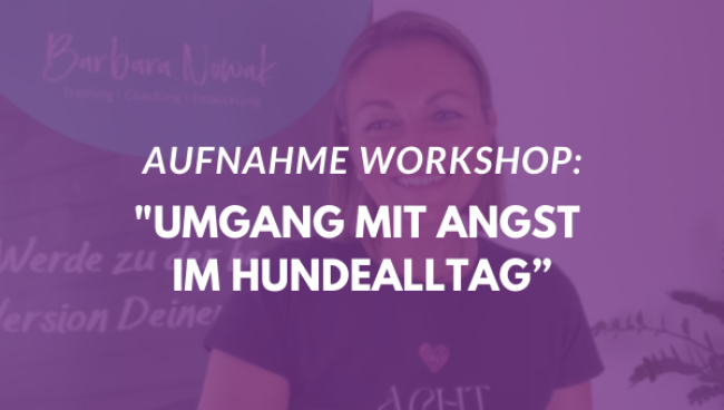 Umgang mit Angst im Hundealltag