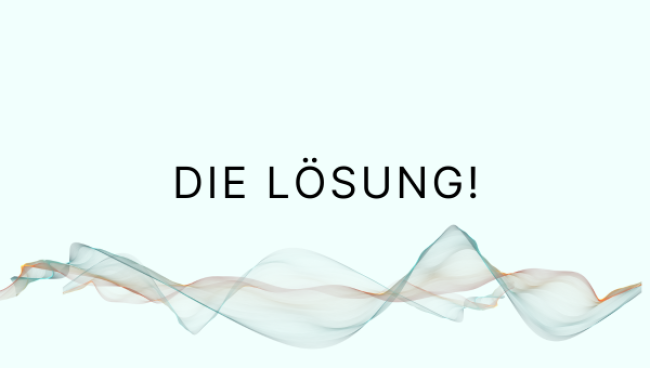 Die Lösung: Unsere Academy ist deine Abkürzung zum Erfolg