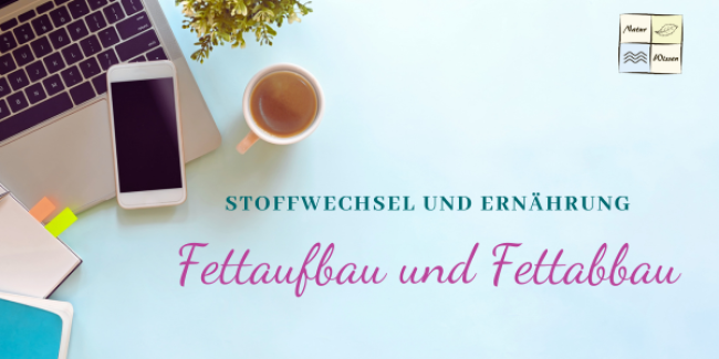 Fettaufbau und Fettabbau