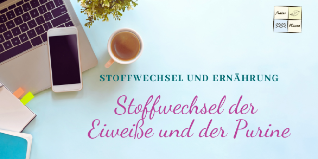 Stoffwechsel der Eiweiße und der Purine