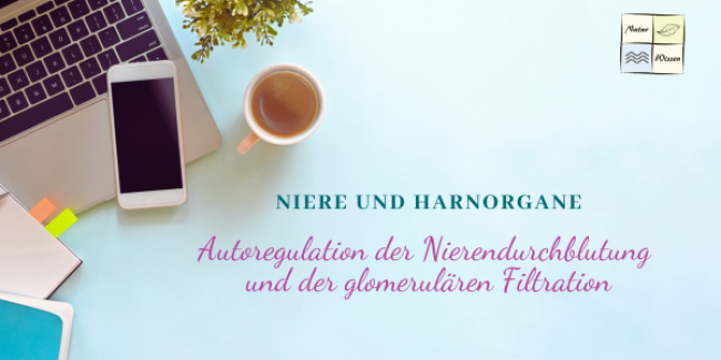 Autoregulation der Nierendurchblutung und der glomerulären Filtration