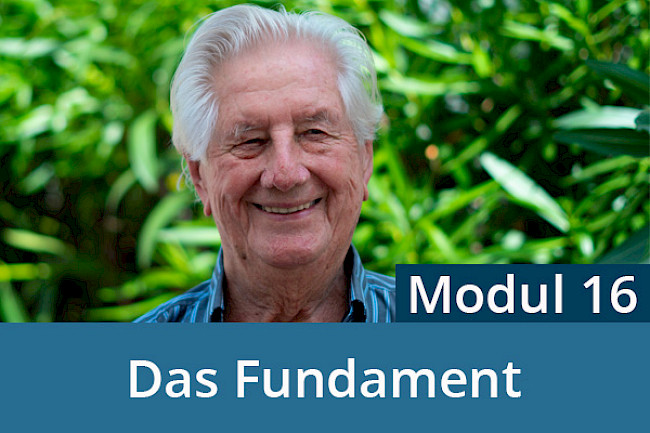 Chakren, Meridiane und Nadis