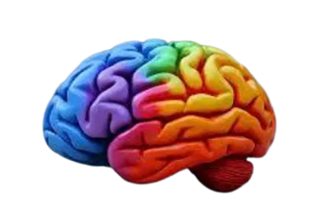 2.9 Physiologische Marker bei ADHS: Revolution oder allgemeine Stressindikatoren?