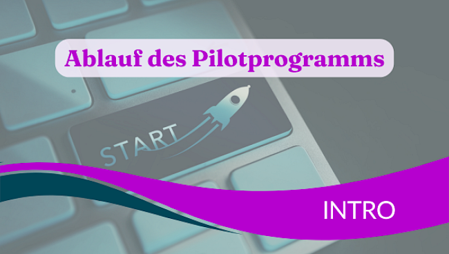 Ablauf des Pilotprogramms
