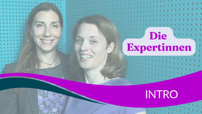 Die Expert:innen