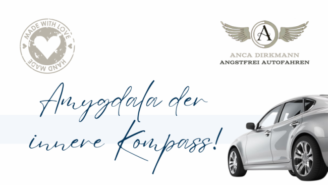 Amygdala, der innere Kompass!