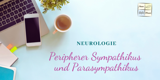 Peripherer Sympathikus und Parasympathikus