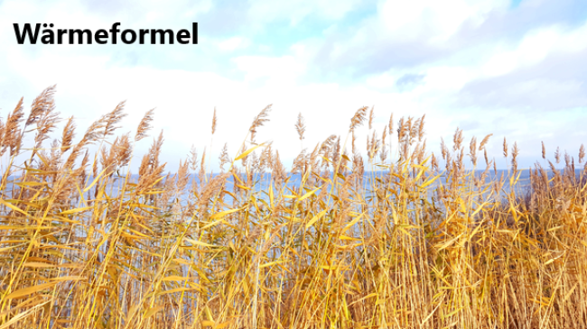 Lektion 2: Wärme