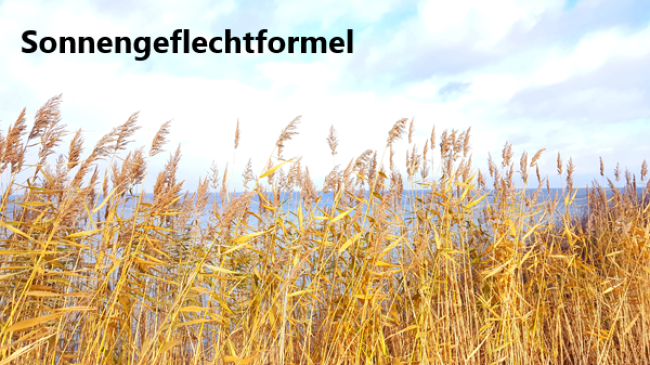 Lektion 5: Sonnengeflecht