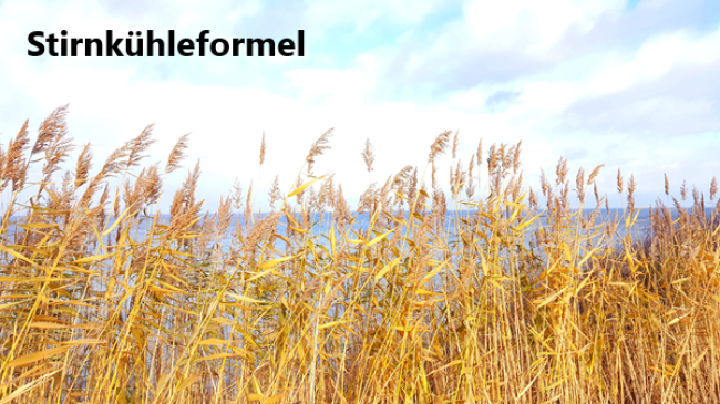 Lektion 6: Stirnkühle