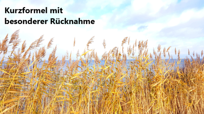 Die Kurzformel + besonderer Rücknahme