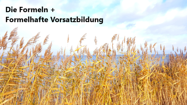 Die Formeln + Formelhafte Vorsatzbildung